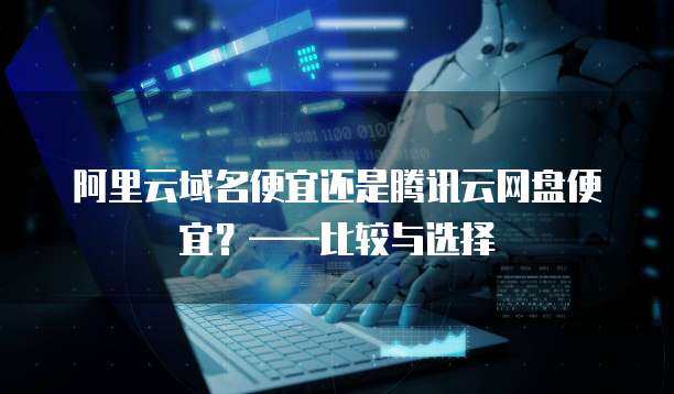 盤便宜 互聯(lián)網(wǎng)域名注冊服務的性價比之選