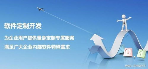 城市路基橋梁健康在線(xiàn)安全監(jiān)測(cè)系統(tǒng) 一體化軟件解決方案與外包服務(wù)